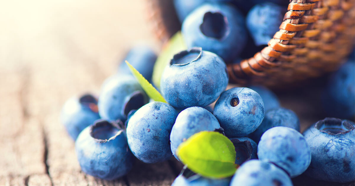 Blueberries Help Lower Blood Pressure Blueberries Help Lower Blood Pressure