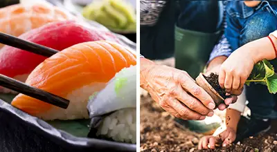 Picture of Sushi and People Potting Plants